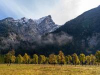 Leuchtender Ahornwald im Vorderen Ahornboden mit Schaufelspitze